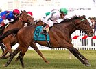 Utley won the 2014 Dixie Stakes.