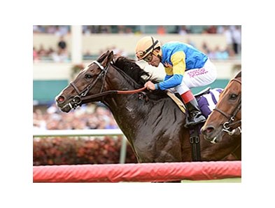 Newsdad was a determined winner in the Pan American Stakes.<br><a target="blank" href="http://photos.bloodhorse.com/AtTheRaces-1/At-the-Races-2014/35724761_2vdnSX#!i=3149374521&k=5P8kMJ6">Order This Photo</a>