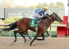 Lemon Drop Dream wins the 2014 Count Fleet Sprint Handicap.