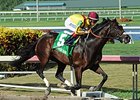 Atreides wins the Monarchos Stakes.
<br><a target="blank" href="http://photos.bloodhorse.com/AtTheRaces-1/At-the-Races-2014/i-P5GMTGH">Order This Photo</a>