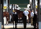 Keeneland September Yearling Sale