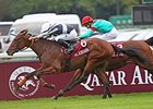 Karakonti won the Qatar Prix Jean-Luc Lagardere in October 2013.<br><a target="blank" href="http://photos.bloodhorse.com/AtTheRaces-1/at-the-races-2013/27257665_QgCqdh#!i=2814170178&k=W7T22bf">Order This Photo</a>