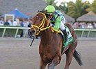 Wildcat Red<br><a target="blank" href="http://photos.bloodhorse.com/AtTheRaces-1/At-the-Races-2014/35724761_2vdnSX#!i=3053786708&k=b3qsTpW">Order This Photo</a>