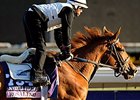Rosalind at Santa Anita on October 31. <br><a target="blank" href="http://photos.bloodhorse.com/BreedersCup/2013-Breeders-Cup/Breeders-Cup/32986083_QMHXWK#!i=2873933616&k=mmd3Jgr">Order This Photo</a>
