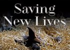 Longform Feature: Saving New Lives Longform Feature: Saving New Lives