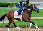 She's a Tiger makes her first start of 2014 in the Eight Belles Stakes. <br><a target="blank" href="http://photos.bloodhorse.com/TripleCrown/2014-Triple-Crown/Kentucky-Derby-Workouts/i-gTMhMcQ">Order This Photo</a>