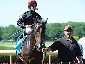 Mr Speaker Gets Green Light for Travers Mr Speaker Gets Green Light for Travers