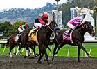 The El Camino Real Derby.