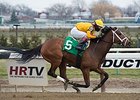 Teen Pauline rolls to victory in the Affectionately Stakes.<br><a target="blank" href="http://photos.bloodhorse.com/AtTheRaces-1/At-the-Races-2014/35724761_2vdnSX#!i=2999765179&k=8PRNJ83">Order This Photo</a>