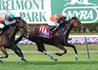 Top Turf Mare Laughing Dies From Colic Top Turf Mare Laughing Dies From Colic