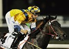 Sterling City and Joao Moreira take the Dubai Golden Shaheen.<br><a target="blank" href="http://photos.bloodhorse.com/AtTheRaces-1/Dubai-2014/38085033_tQgx4h#!i=3148677814&k=MD6RqFD">Order This Photo</a>