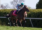 Centre Court won the 2013 Jenny Wiley Stakes.<br><a target="blank" href="http://photos.bloodhorse.com/AtTheRaces-1/at-the-races-2013/27257665_QgCqdh#!i=2455324228&k=69pQKfC">Order This Photo</a>