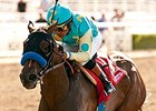 Jojo Warrior won the 2014 Summertime Oaks.