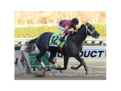 Cairo Prince
<br><a target="blank" href="http://photos.bloodhorse.com/AtTheRaces-1/at-the-races-2013/27257665_QgCqdh#!i=2881573798&k=jTz5F9D">Order This Photo</a>