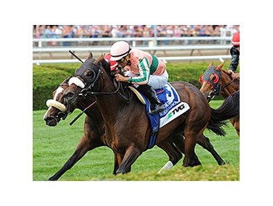 Somali Lemonade
<br><a target="blank" href="http://photos.bloodhorse.com/AtTheRaces-1/At-the-Races-2014/i-stbwL4x">Order This Photo</a>