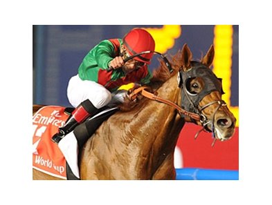 Animal Kingdom<br><a target="blank" href="http://photos.bloodhorse.com/AtTheRaces-1/at-the-races-2013/27257665_QgCqdh#!i=2434319833&k=PNZgC3q">Order This Photo</a>
