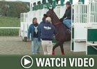HRTV: Inside Information - 1/17/08 HRTV: Inside Information - 1/17/08