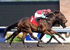 Choctaw Chuck won the 2014 Tom Ridge Stakes.