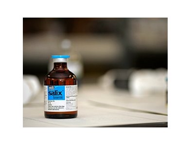 Salix