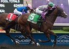Ami's Holiday won the 2013 Grey Stakes.