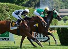King Kreesa won the 2014 West Point Stakes. <br><a target="blank" href="http://photos.bloodhorse.com/AtTheRaces-1/At-the-Races-2014/i-wXW8wHK">Order This Photo</a>