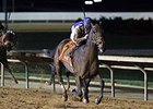 Imperative goes by Game On Dude to win the Charles Town Classic.<br><a target="blank" href="http://photos.bloodhorse.com/AtTheRaces-1/At-the-Races-2014/35724761_2vdnSX#!i=3190473451&k=7HFL9SB">Order This Photo</a>