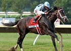 Verrazano wins the Haskell Invitational.
<br><a target="blank" href="http://photos.bloodhorse.com/AtTheRaces-1/at-the-races-2013/27257665_QgCqdh#!i=2662607607&k=TtdLnd4">Order This Photo</a>