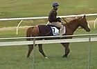 Caulfield Cup: Brigantin's Foreman Caulfield Cup: Brigantin's Foreman