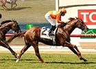 Tom's Tribute Del Mar Mile.