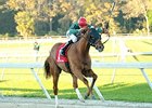 Ring Weekend runs away from the competition in the Tampa Bay Derby.