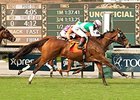 Emollient Edges Parranda in Rodeo Drive Emollient Edges Parranda in Rodeo Drive