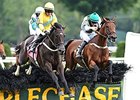 Makari (right) wins the 2014 A. P. Smithwick Memorial Steeplechase Stakes. <br><a target="blank" href="http://photos.bloodhorse.com/AtTheRaces-1/At-the-Races-2014/i-TfPRbqg">Order This Photo</a>