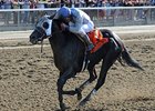 Met Mile Set for Belmont Stakes Day in 2014 Met Mile Set for Belmont Stakes Day in 2014
