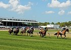 Tampa Bay Downs