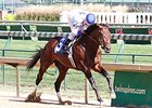 Almost Famous breaks from post 4 in the Ohio Derby.