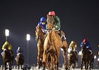 Godolphin Pair Face Off in Maktoum Challenge Godolphin Pair Face Off in Maktoum Challenge