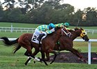 Suntracer holds off Pyrite Mountain to win the Kentucky Cup Turf.<br><a target="blank" href="http://photos.bloodhorse.com/AtTheRaces-1/At-the-Races-2014/i-m9PS5wq">Order This Photo</a>