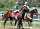 Rail Trip
<br><a target="blank" href="http://photos.bloodhorse.com/BreedersCup/2012-Breeders-Cup/Dirt-Mile/26285112_VMS3Hd#!i=2194304491&k=hPLdjpc">Order This Photo</a>