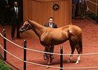 Bedford Land, Hip 414, sold for $1,075,000 at the Fasig-Tipton Kentucky July Sale.