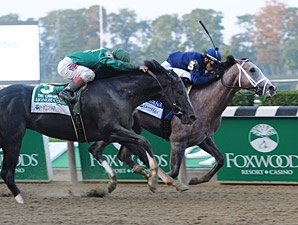 Havana in First Work Since Breeders' Cup Havana in First Work Since Breeders' Cup