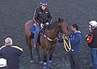 Caulfield Cup Preview: Clarry Conners Caulfield Cup Preview: Clarry Conners