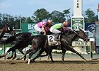 Golden Ticket gets up late to win the Left Bank.<br><a target="blank" href="http://photos.bloodhorse.com/AtTheRaces-1/At-the-Races-2014/i-hBdrtv6">Order This Photo</a>
