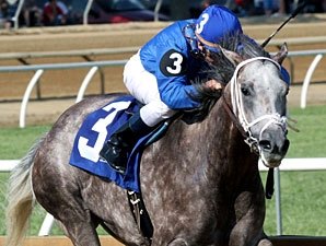 Taptowne Draws Rail in Well-Matched Razorback Taptowne Draws Rail in Well-Matched Razorback
