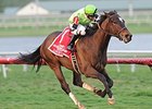 Lochte won the 2014 Gulfstream Park Turf Handicap. <br><a target="blank" href="http://photos.bloodhorse.com/AtTheRaces-1/At-the-Races-2014/35724761_2vdnSX#!i=3067652876&k=tNXnB5B">Order This Photo</a>