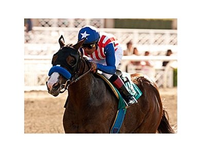Enchanting Lady wins the Landaluce Stakes.