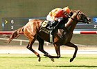 Tom's Tribute wins the Eddie Read Stakes.