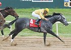 Z Rockstar won the 2014 Cherokee Nation Classic Cup Stakes.