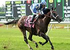 Sayaad comes home strong to win the Forbidden Apple Stakes.<br><a target="blank" href="http://photos.bloodhorse.com/AtTheRaces-1/At-the-Races-2014/i-hts4nwg">Order This Photo</a>