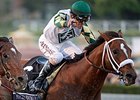 Mucho Macho Man <br><a target="blank" href="http://photos.bloodhorse.com/BreedersCup/2013-Breeders-Cup/Classic/33150031_7ZnLk4#!i=2886417473&k=GZpq2gT">Order This Photo</a>