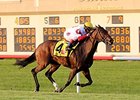 Back on Turf, Bobby's Kitten Takes Penn Mile Back on Turf, Bobby's Kitten Takes Penn Mile